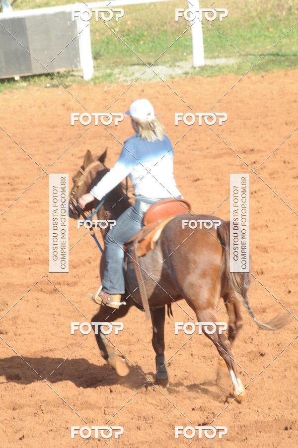 Buy your photos of the eventTEAM PENNING  GRANDE FINAL CAMARU on Fotop