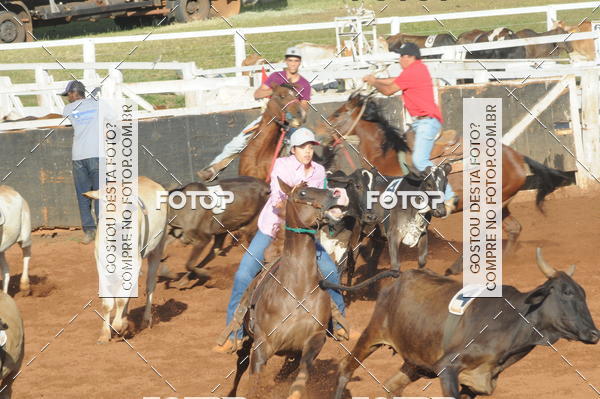 Buy your photos of the eventTEAM PENNING  GRANDE FINAL CAMARU on Fotop