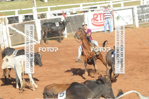 Buy your photos of the eventTEAM PENNING  GRANDE FINAL CAMARU on Fotop