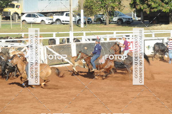 Buy your photos of the eventTEAM PENNING  GRANDE FINAL CAMARU on Fotop