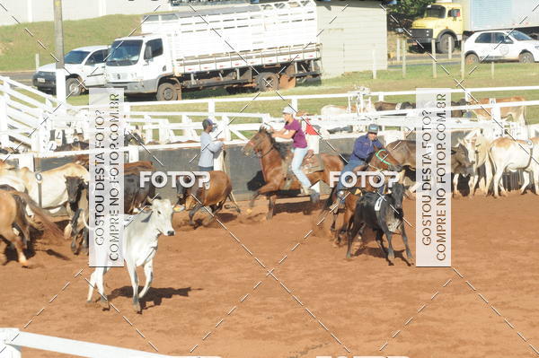 Buy your photos of the eventTEAM PENNING  GRANDE FINAL CAMARU on Fotop