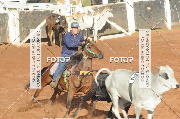 Buy your photos of the eventTEAM PENNING  GRANDE FINAL CAMARU on Fotop