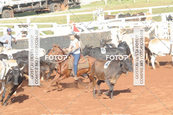 Buy your photos of the eventTEAM PENNING  GRANDE FINAL CAMARU on Fotop
