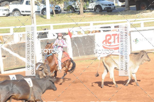 Buy your photos of the eventTEAM PENNING  GRANDE FINAL CAMARU on Fotop