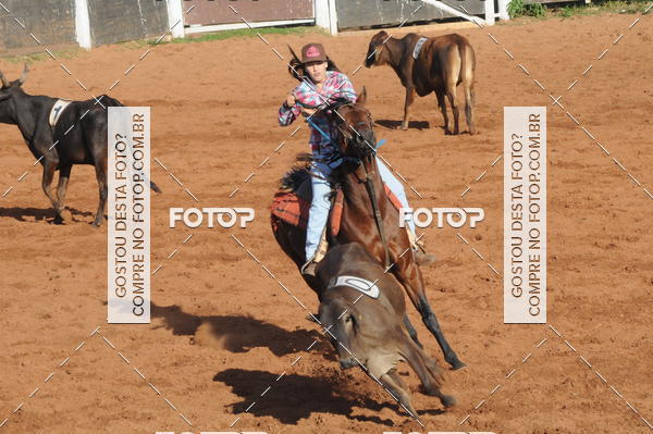 Buy your photos of the eventTEAM PENNING  GRANDE FINAL CAMARU on Fotop