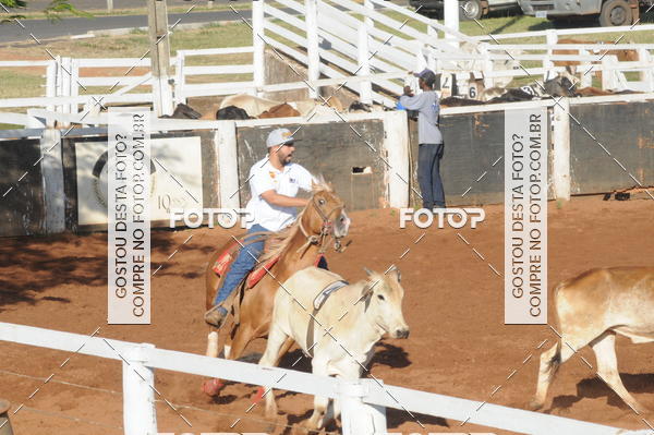Buy your photos of the eventTEAM PENNING  GRANDE FINAL CAMARU on Fotop