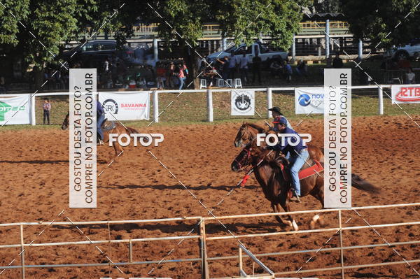 Buy your photos of the eventTEAM PENNING  GRANDE FINAL CAMARU on Fotop