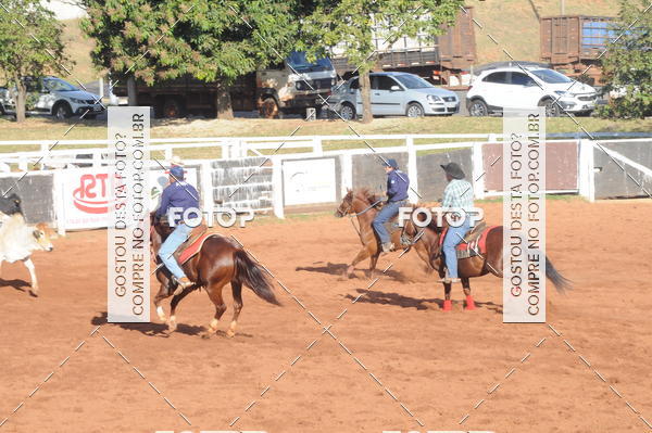 Buy your photos of the eventTEAM PENNING  GRANDE FINAL CAMARU on Fotop
