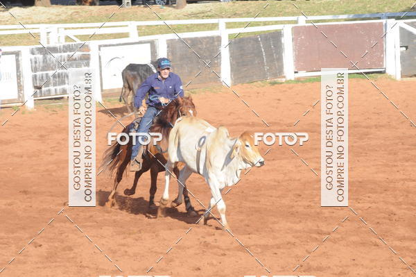 Buy your photos of the eventTEAM PENNING  GRANDE FINAL CAMARU on Fotop