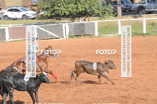 Buy your photos of the eventTEAM PENNING  GRANDE FINAL CAMARU on Fotop