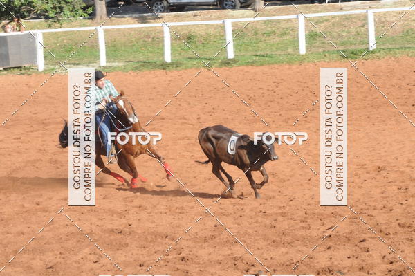 Buy your photos of the eventTEAM PENNING  GRANDE FINAL CAMARU on Fotop