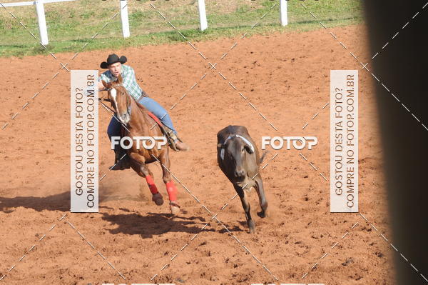 Buy your photos of the eventTEAM PENNING  GRANDE FINAL CAMARU on Fotop