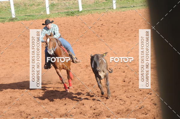 Buy your photos of the eventTEAM PENNING  GRANDE FINAL CAMARU on Fotop