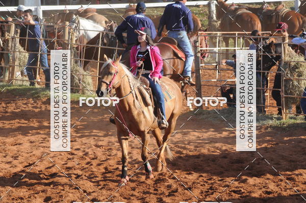 Buy your photos of the eventTEAM PENNING  GRANDE FINAL CAMARU on Fotop