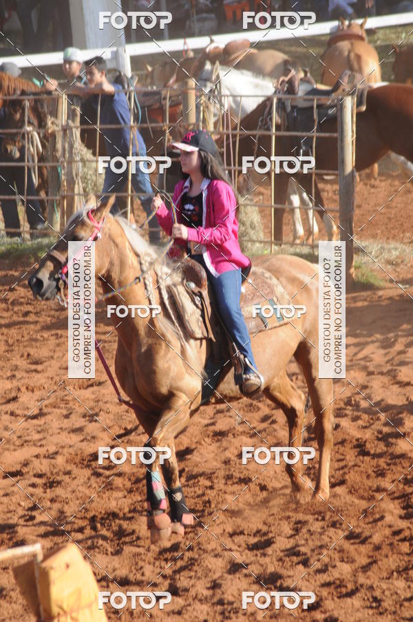 Buy your photos of the eventTEAM PENNING  GRANDE FINAL CAMARU on Fotop