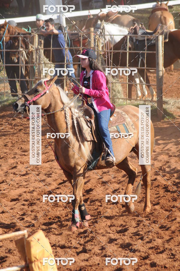 Buy your photos of the eventTEAM PENNING  GRANDE FINAL CAMARU on Fotop