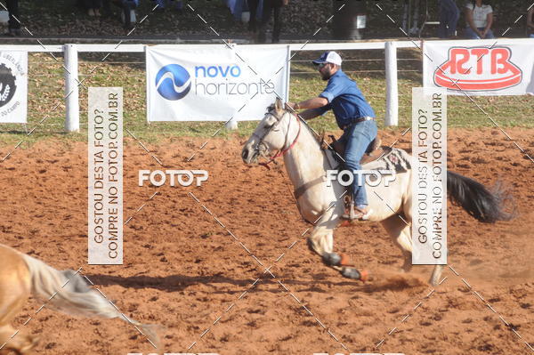 Buy your photos of the eventTEAM PENNING  GRANDE FINAL CAMARU on Fotop