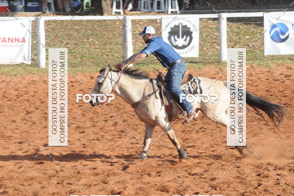 Buy your photos of the eventTEAM PENNING  GRANDE FINAL CAMARU on Fotop
