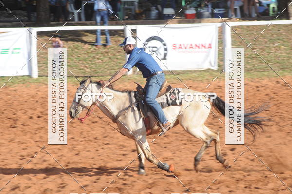 Buy your photos of the eventTEAM PENNING  GRANDE FINAL CAMARU on Fotop
