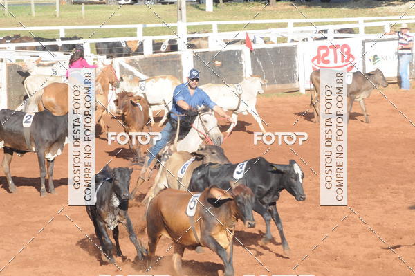 Buy your photos of the eventTEAM PENNING  GRANDE FINAL CAMARU on Fotop