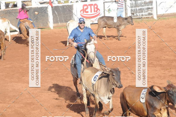 Buy your photos of the eventTEAM PENNING  GRANDE FINAL CAMARU on Fotop