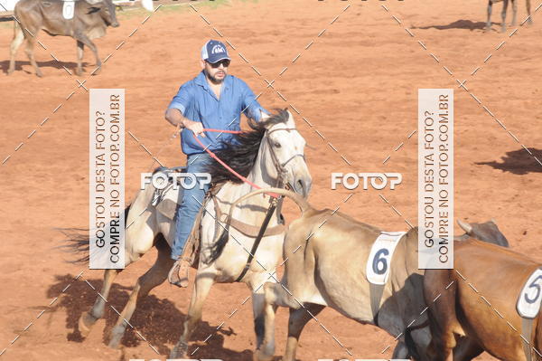 Buy your photos of the eventTEAM PENNING  GRANDE FINAL CAMARU on Fotop