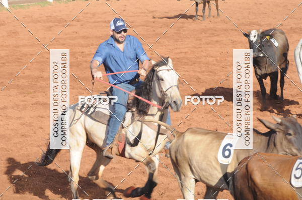 Buy your photos of the eventTEAM PENNING  GRANDE FINAL CAMARU on Fotop
