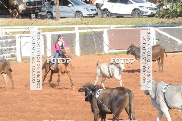 Buy your photos of the eventTEAM PENNING  GRANDE FINAL CAMARU on Fotop