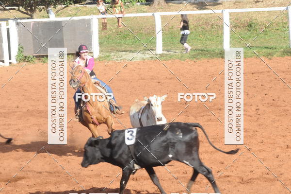 Buy your photos of the eventTEAM PENNING  GRANDE FINAL CAMARU on Fotop