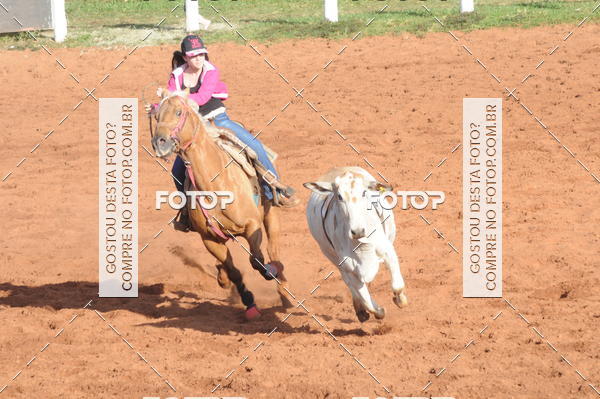 Buy your photos of the eventTEAM PENNING  GRANDE FINAL CAMARU on Fotop