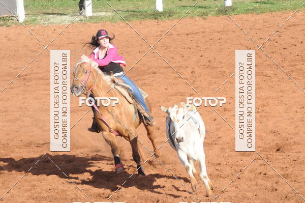 Buy your photos of the eventTEAM PENNING  GRANDE FINAL CAMARU on Fotop