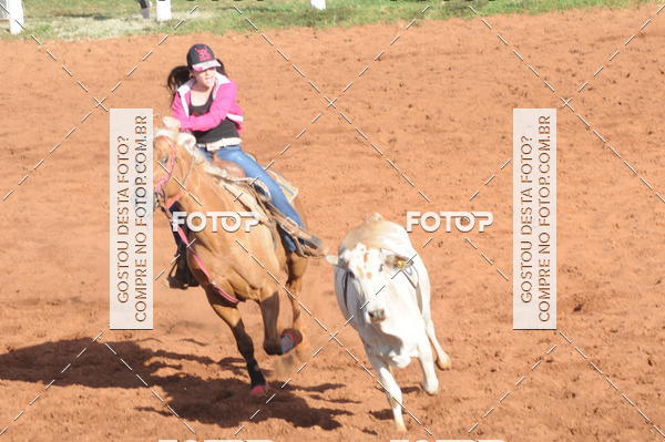 Buy your photos of the eventTEAM PENNING  GRANDE FINAL CAMARU on Fotop