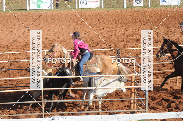 Buy your photos of the eventTEAM PENNING  GRANDE FINAL CAMARU on Fotop