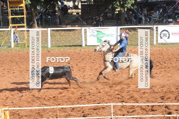 Buy your photos of the eventTEAM PENNING  GRANDE FINAL CAMARU on Fotop