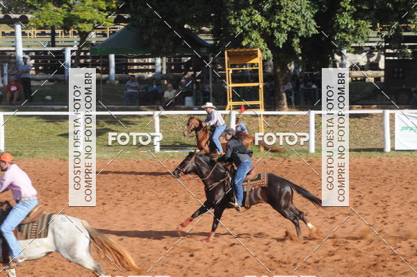 Buy your photos of the eventTEAM PENNING  GRANDE FINAL CAMARU on Fotop