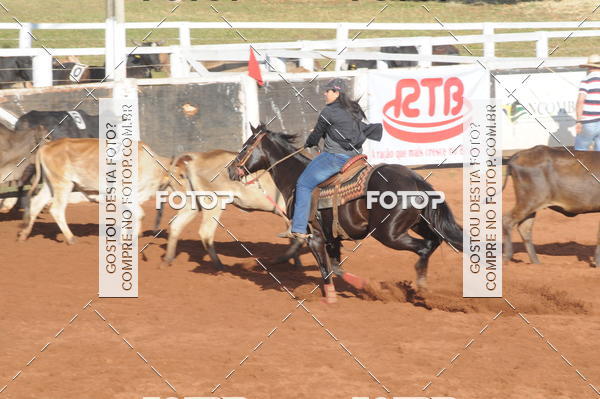 Buy your photos of the eventTEAM PENNING  GRANDE FINAL CAMARU on Fotop