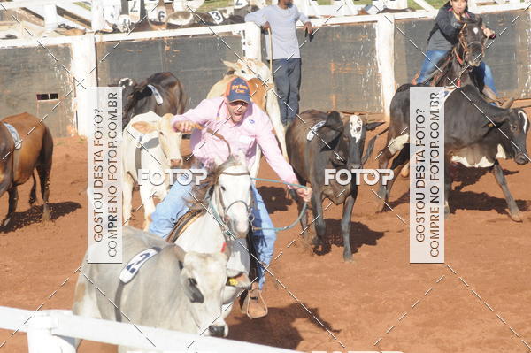 Buy your photos of the eventTEAM PENNING  GRANDE FINAL CAMARU on Fotop