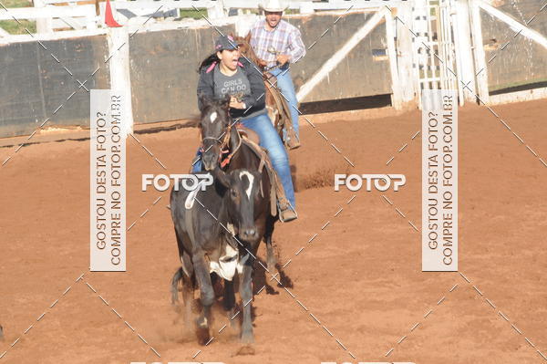 Buy your photos of the eventTEAM PENNING  GRANDE FINAL CAMARU on Fotop