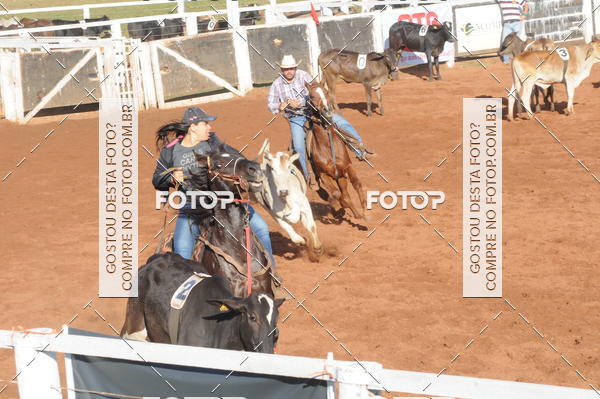 Buy your photos of the eventTEAM PENNING  GRANDE FINAL CAMARU on Fotop
