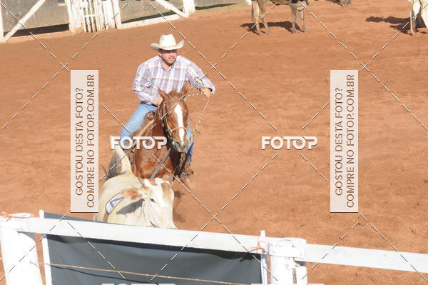 Buy your photos of the eventTEAM PENNING  GRANDE FINAL CAMARU on Fotop