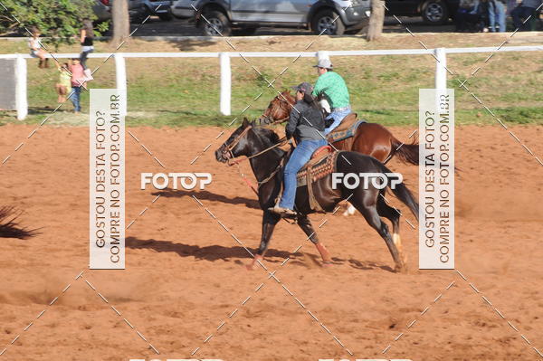Buy your photos of the eventTEAM PENNING  GRANDE FINAL CAMARU on Fotop
