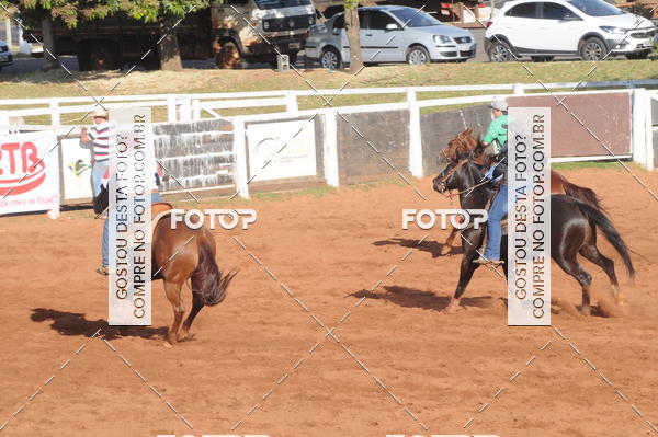Buy your photos of the eventTEAM PENNING  GRANDE FINAL CAMARU on Fotop