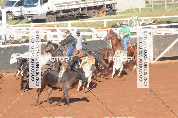 Buy your photos of the eventTEAM PENNING  GRANDE FINAL CAMARU on Fotop