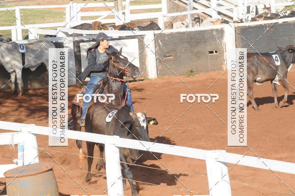 Buy your photos of the eventTEAM PENNING  GRANDE FINAL CAMARU on Fotop