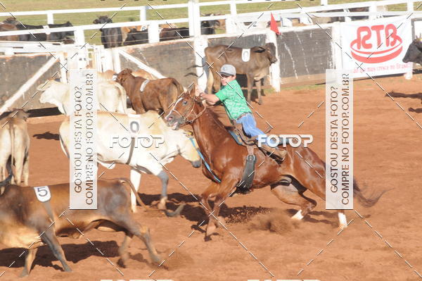 Buy your photos of the eventTEAM PENNING  GRANDE FINAL CAMARU on Fotop