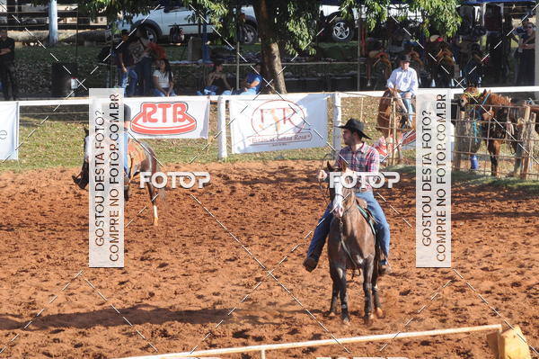 Buy your photos of the eventTEAM PENNING  GRANDE FINAL CAMARU on Fotop