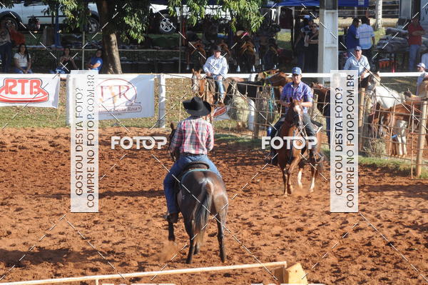 Buy your photos of the eventTEAM PENNING  GRANDE FINAL CAMARU on Fotop