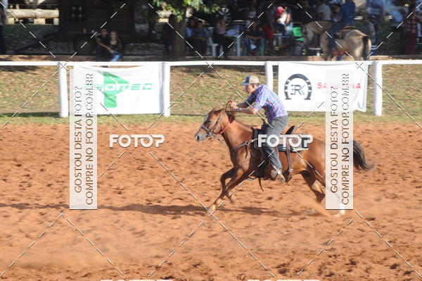 Buy your photos of the eventTEAM PENNING  GRANDE FINAL CAMARU on Fotop