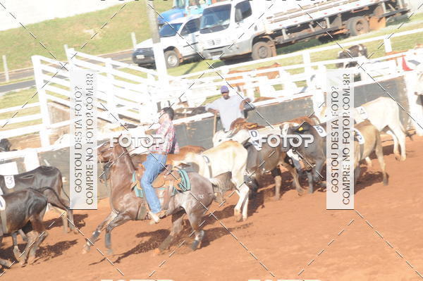 Buy your photos of the eventTEAM PENNING  GRANDE FINAL CAMARU on Fotop