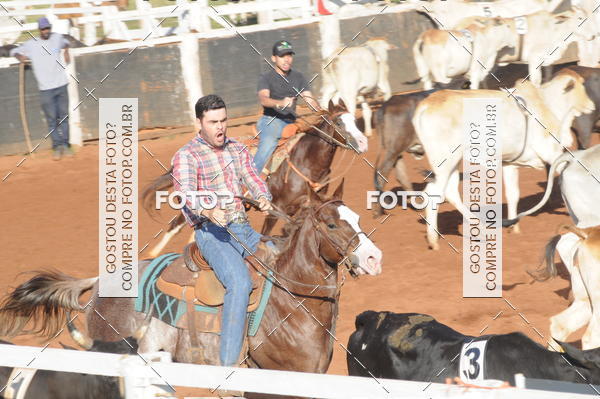 Buy your photos of the eventTEAM PENNING  GRANDE FINAL CAMARU on Fotop